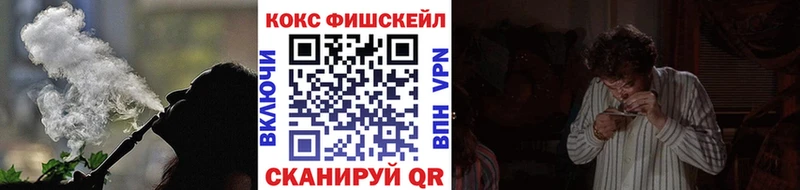shop как зайти  Мыски  Cocaine Fish Scale 