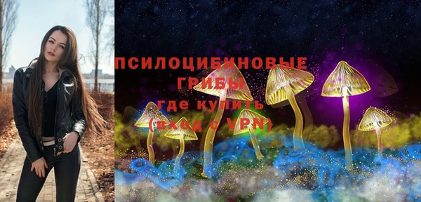 крисы Нефтегорск