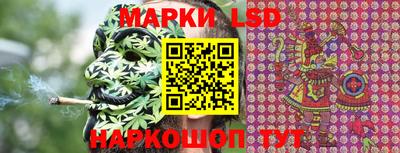 шишки Изобильный