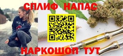 шишки Изобильный