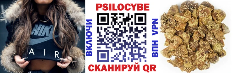 Галлюциногенные грибы Psilocybine cubensis  Мыски 