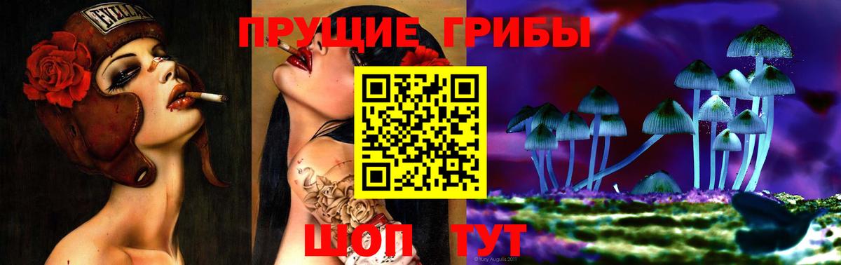 Мыски  Псилоцибиновые грибы GOLDEN TEACHER  Вход с VPN  Псилоцибиновые грибы ЛСД 