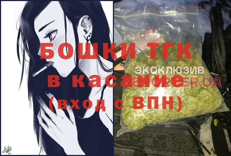 где купить наркотик  мега как войти  Конопля план  Мыски 